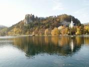 BLED03